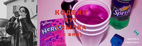 индика Кулебаки