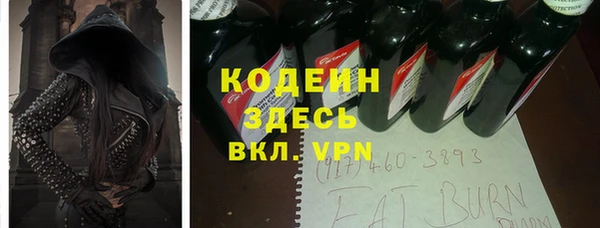 хмурый Корсаков