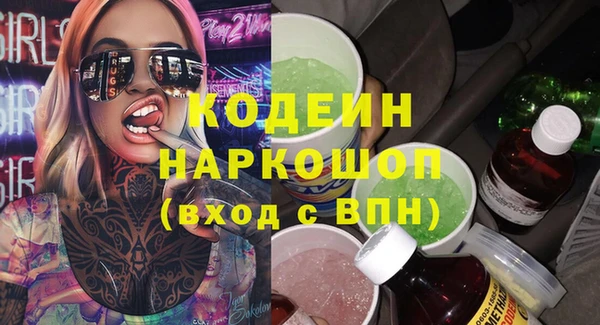 дживик Краснослободск