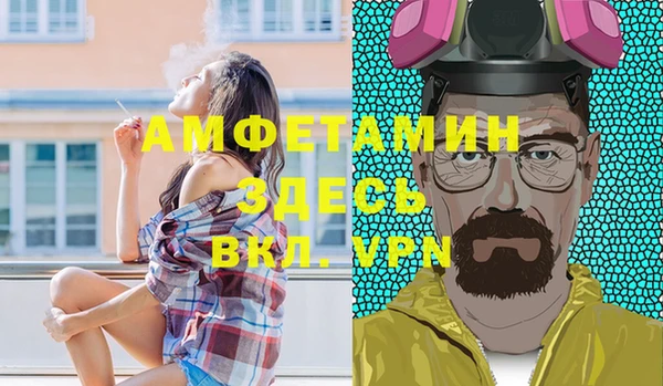 индика Кулебаки