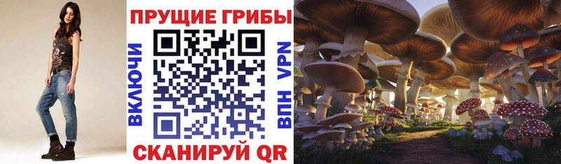 Псилоцибиновые грибы мухоморы  гидра онион  Называевск 